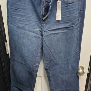 Lane Bryant Mid-Rise Super Stretch Jeans